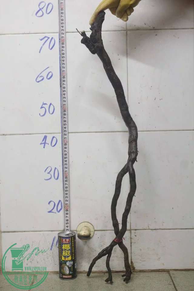 psb (11).jpg