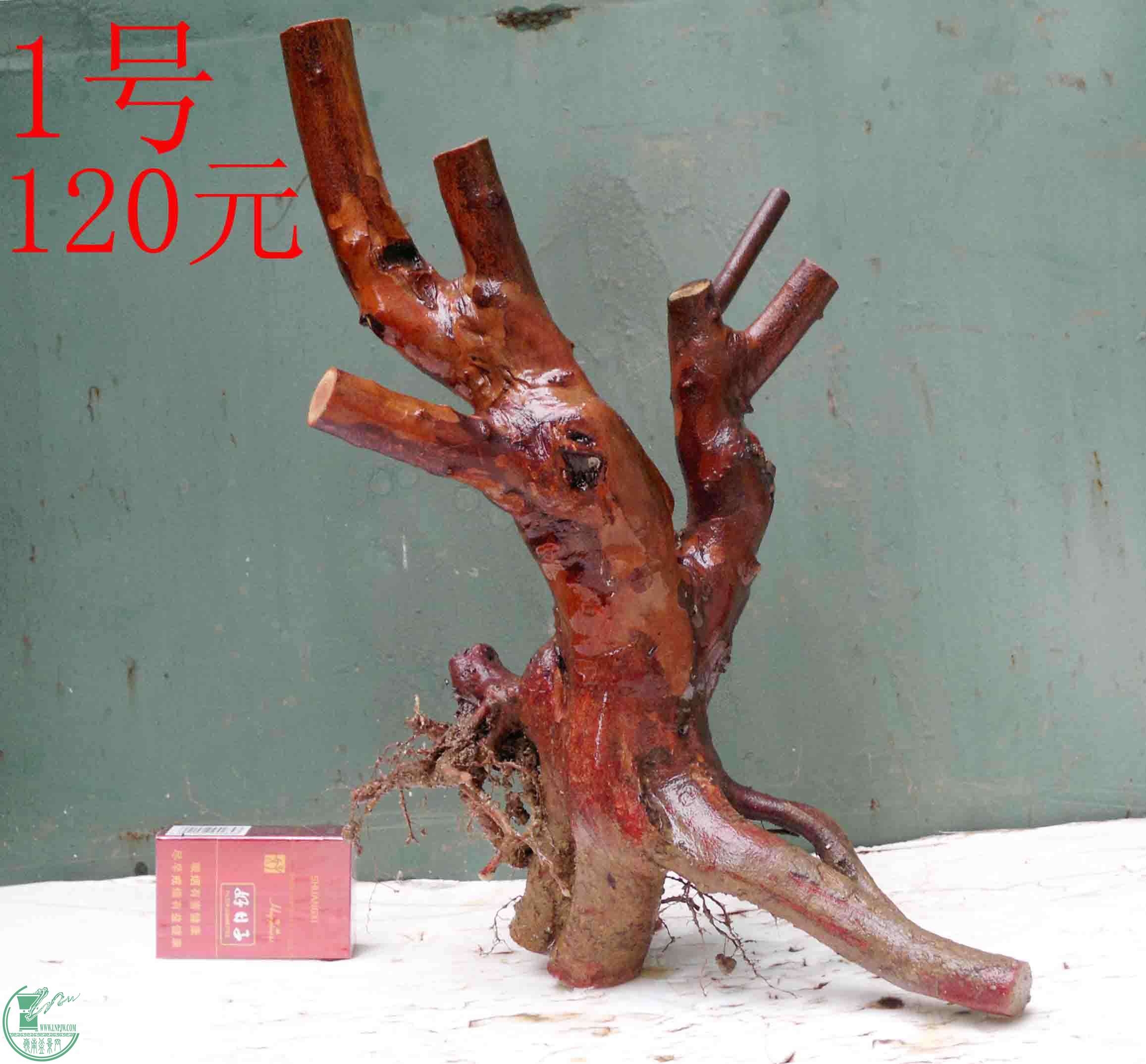 201601309114.jpg