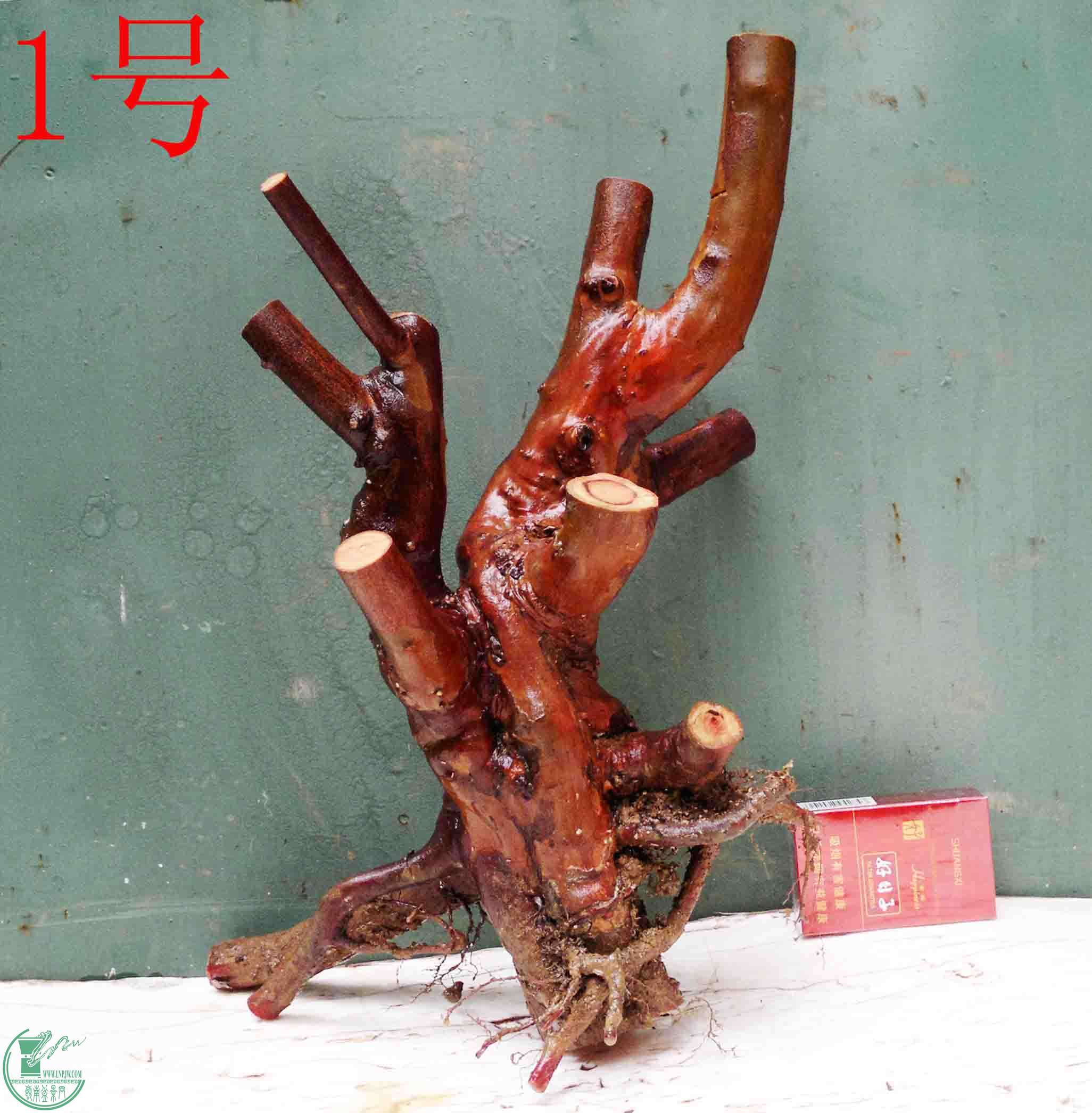 201601309128.jpg