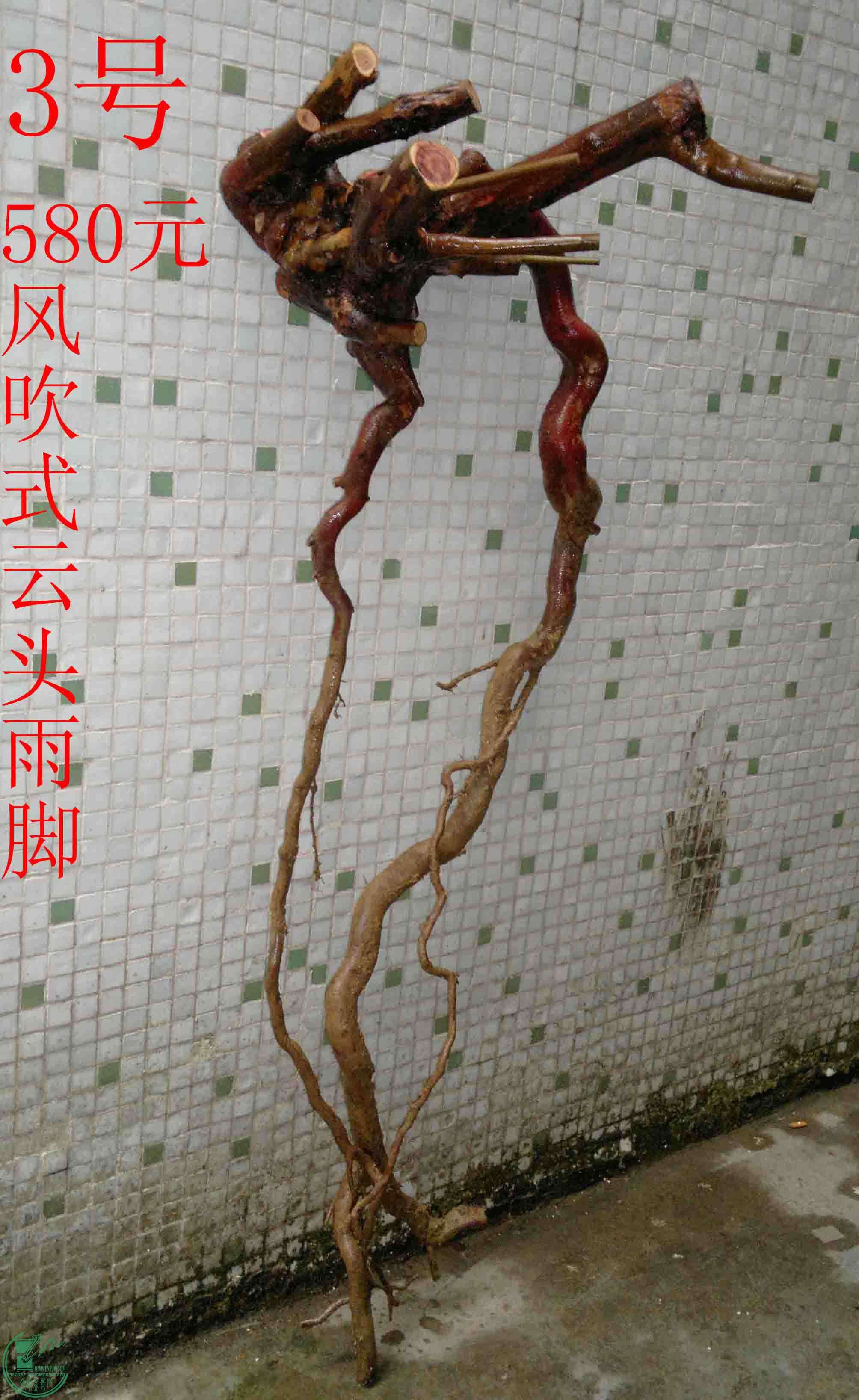 201601309164.jpg