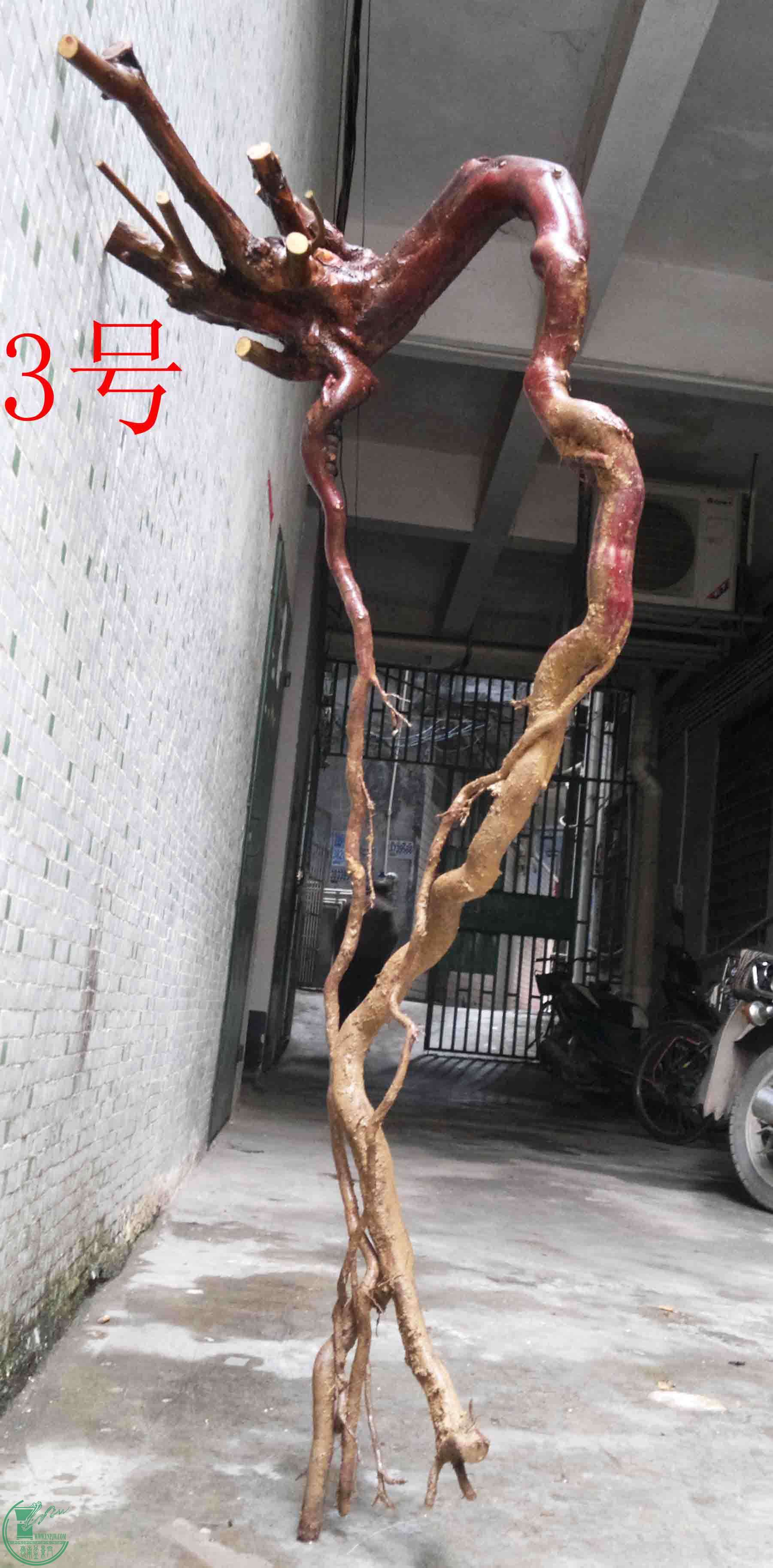 201601309182.jpg