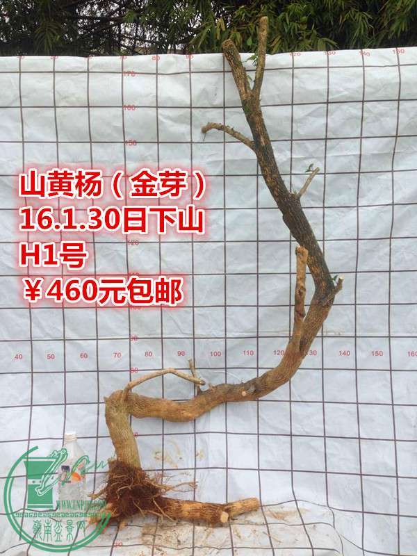 QQͼƬ20160130202523_.jpg
