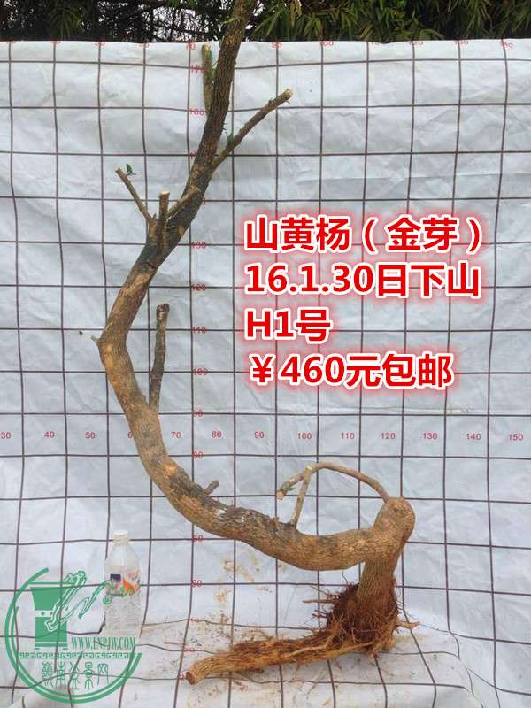 QQͼƬ20160130202526_.jpg