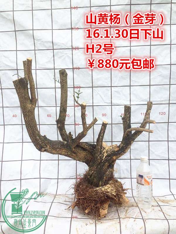 QQͼƬ20160130202535_.jpg
