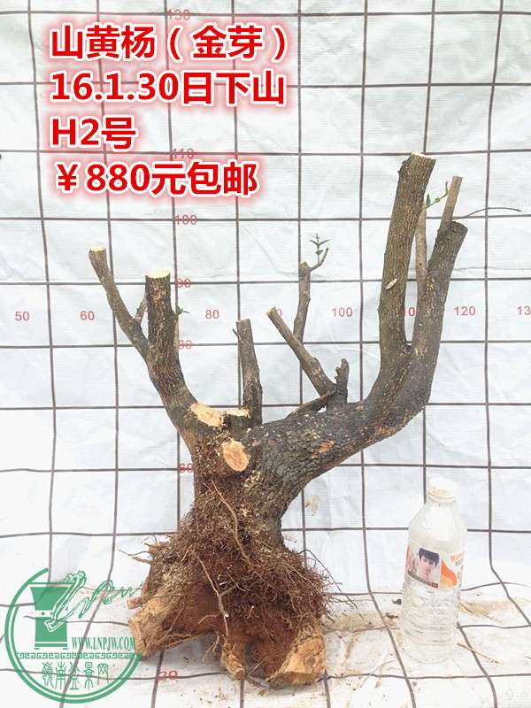 QQͼƬ20160130202539_.jpg