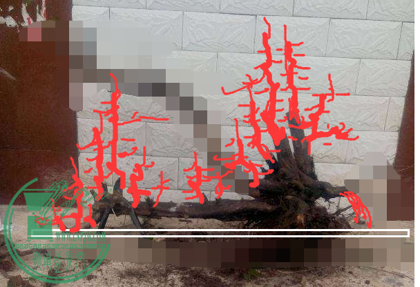 QQͼƬ20160131004324.png