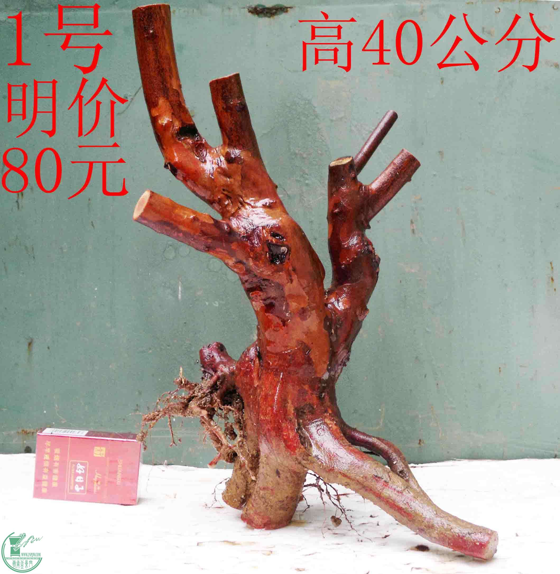 201601309114.jpg