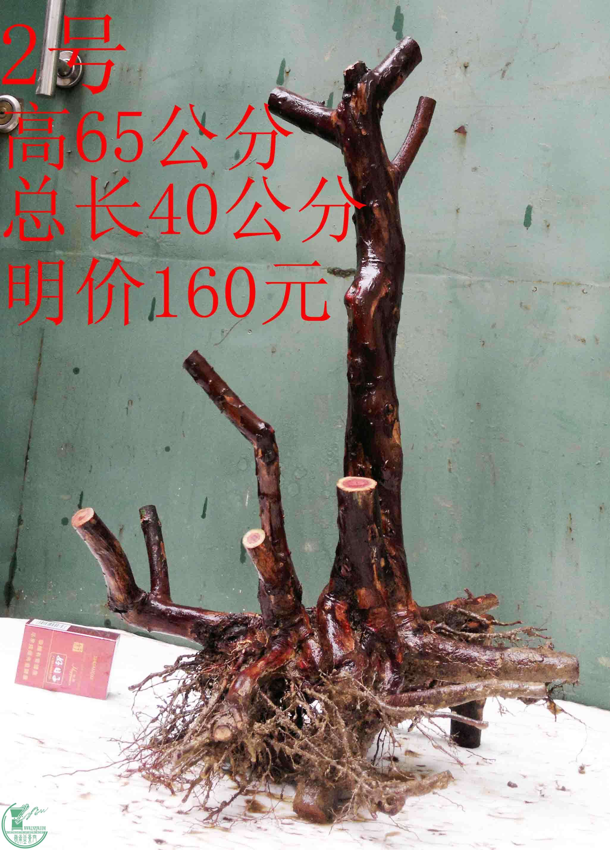 201601309133.jpg