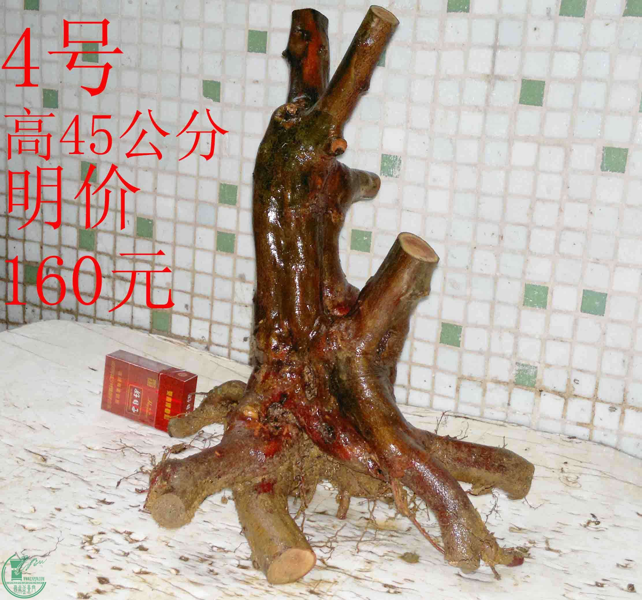 201601319208.jpg