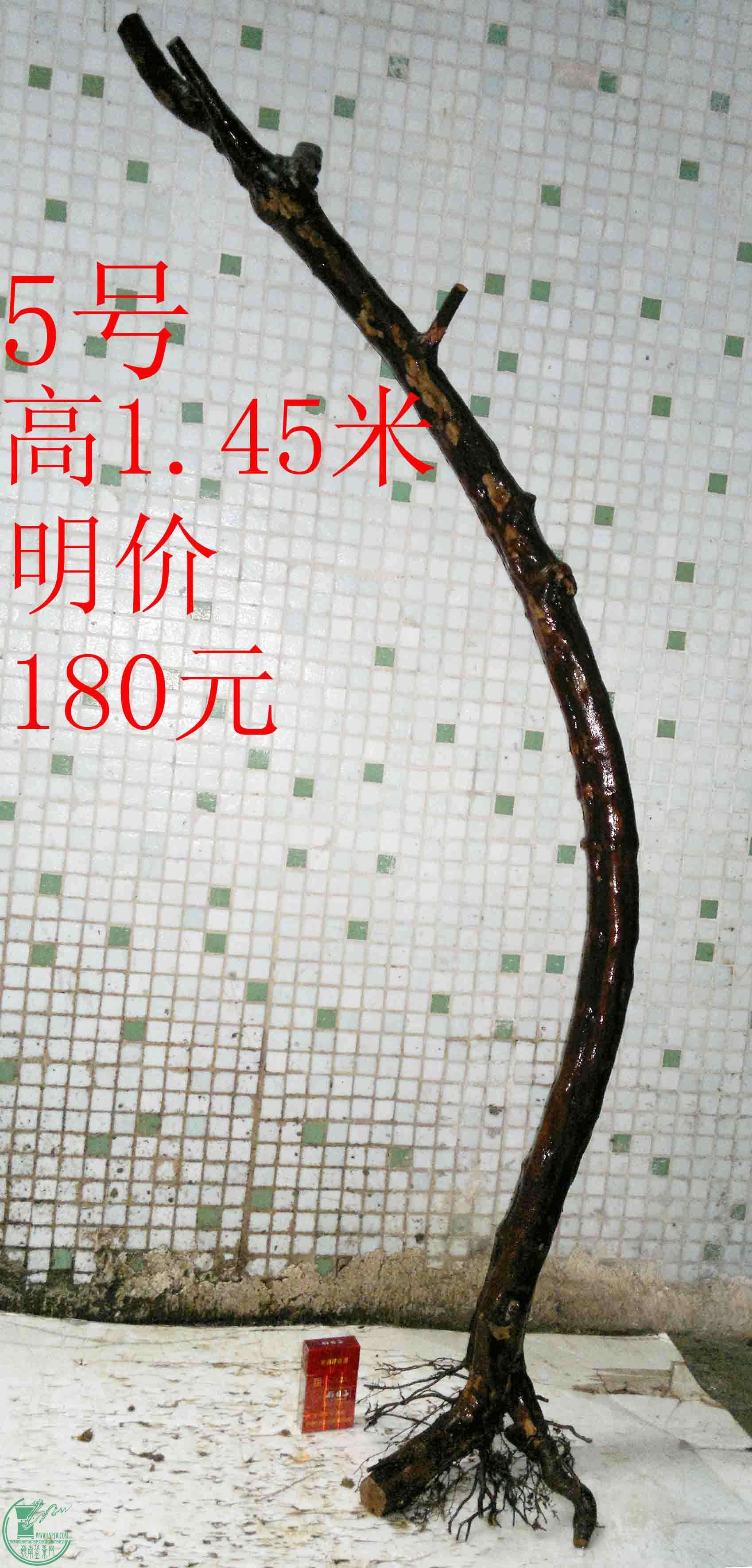 201601319234.jpg