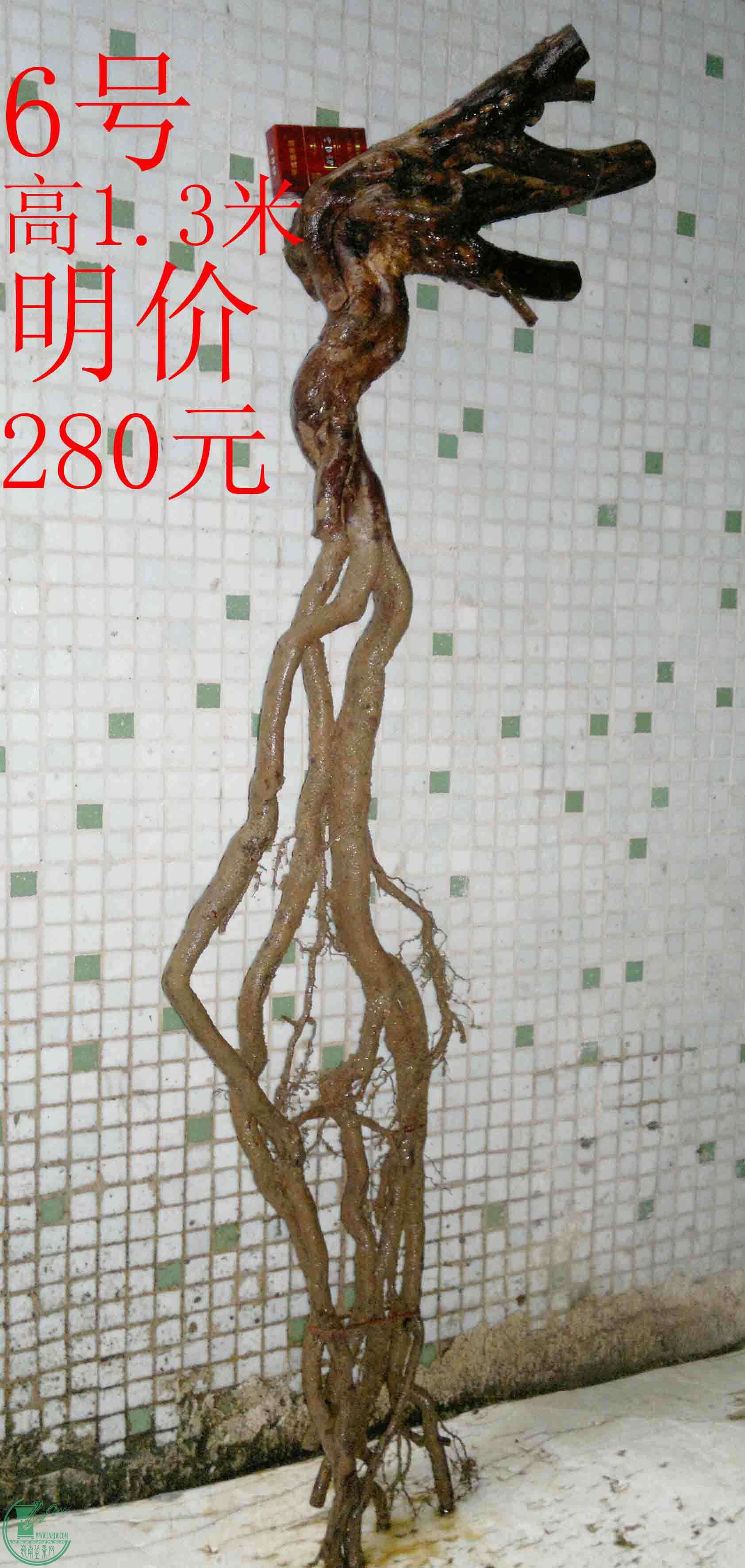 201601319264.jpg