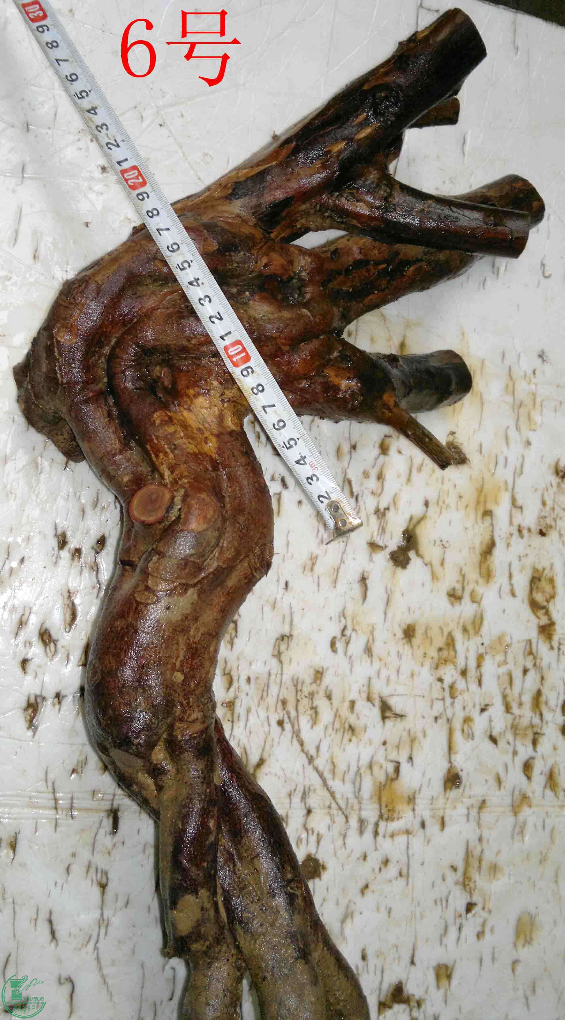 201601319282.jpg