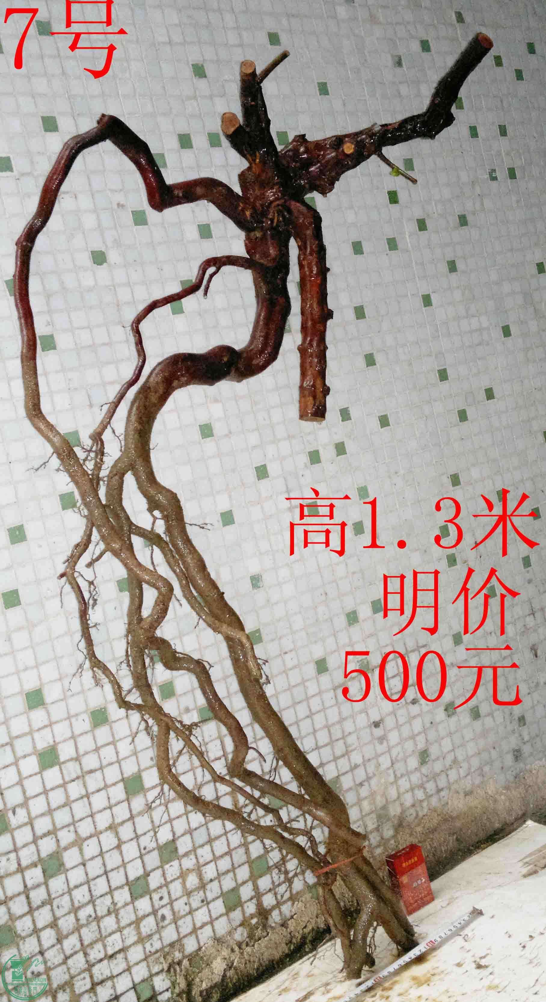 201601319286.jpg