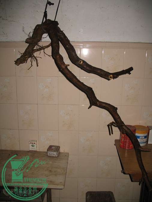 002.JPG
