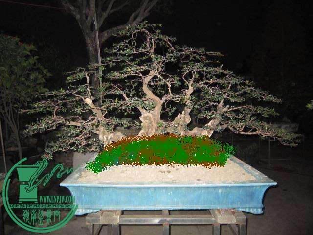 223759leh8re4clbcz8xl4.jpg.thumb.jpg
