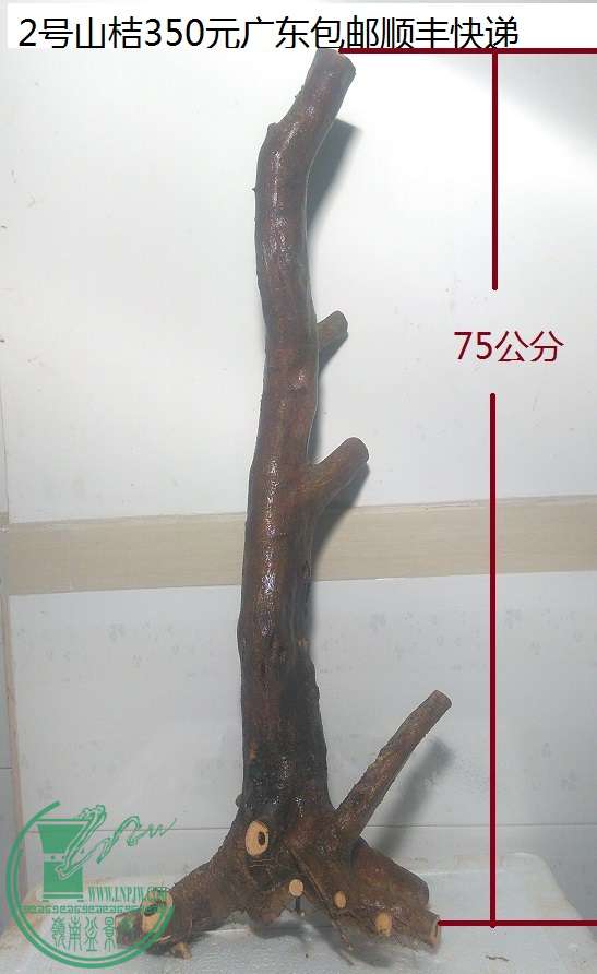 QQͼƬ20160202204324.jpg