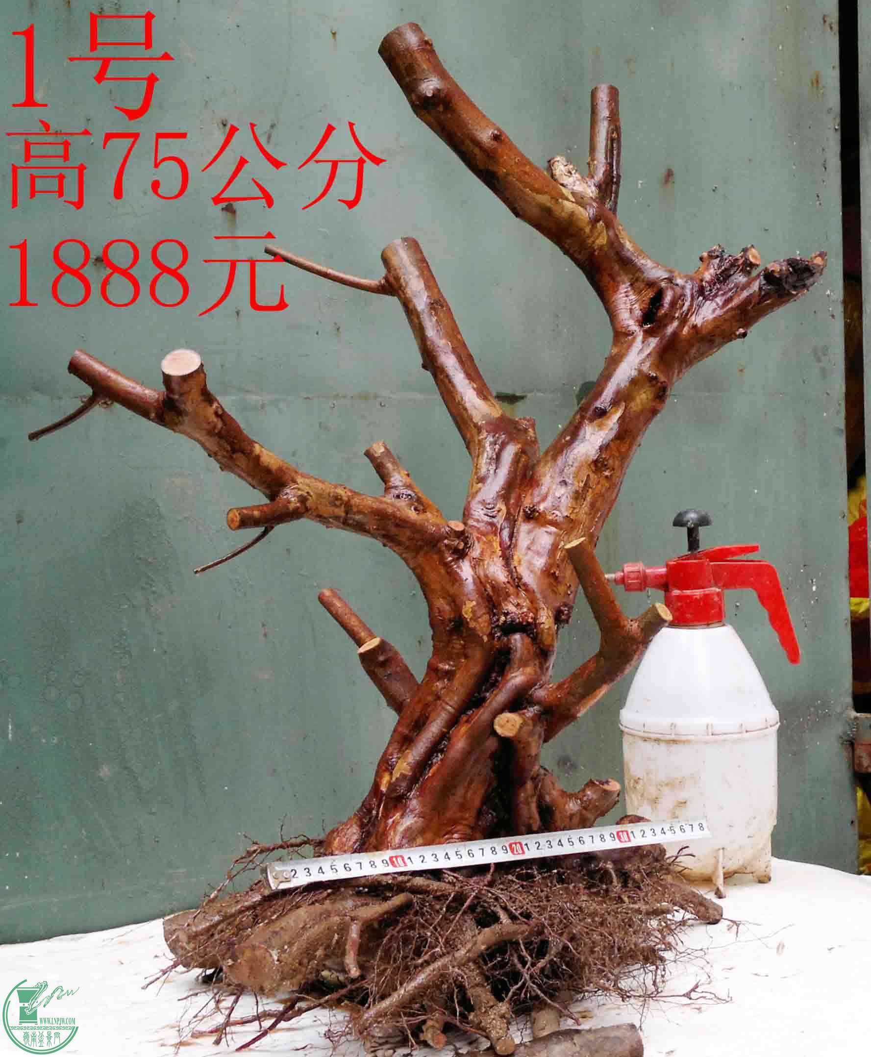201602029334.jpg
