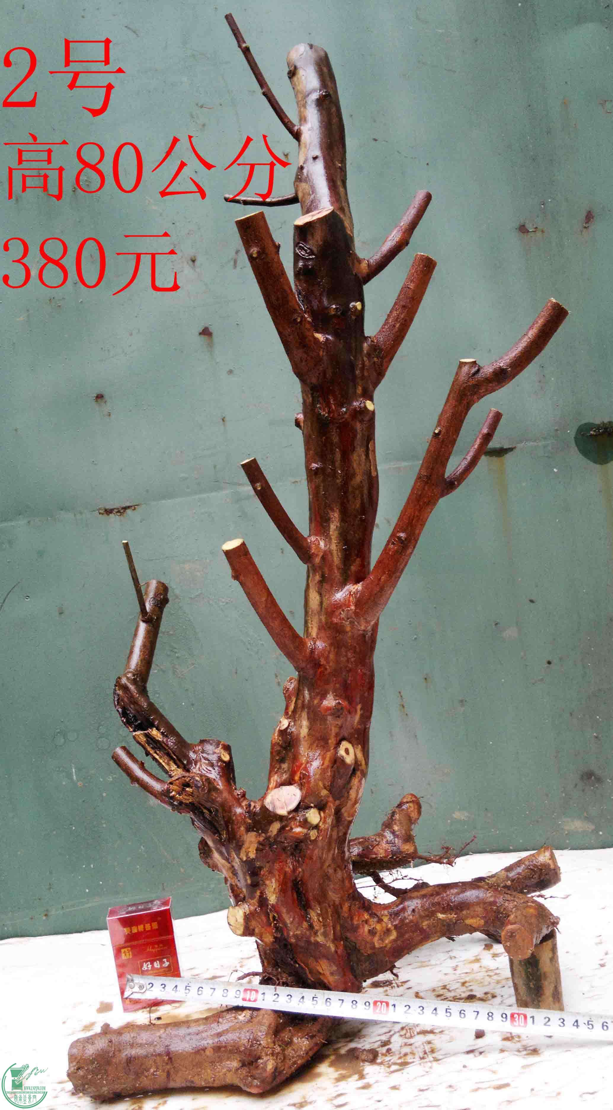201602029400.jpg