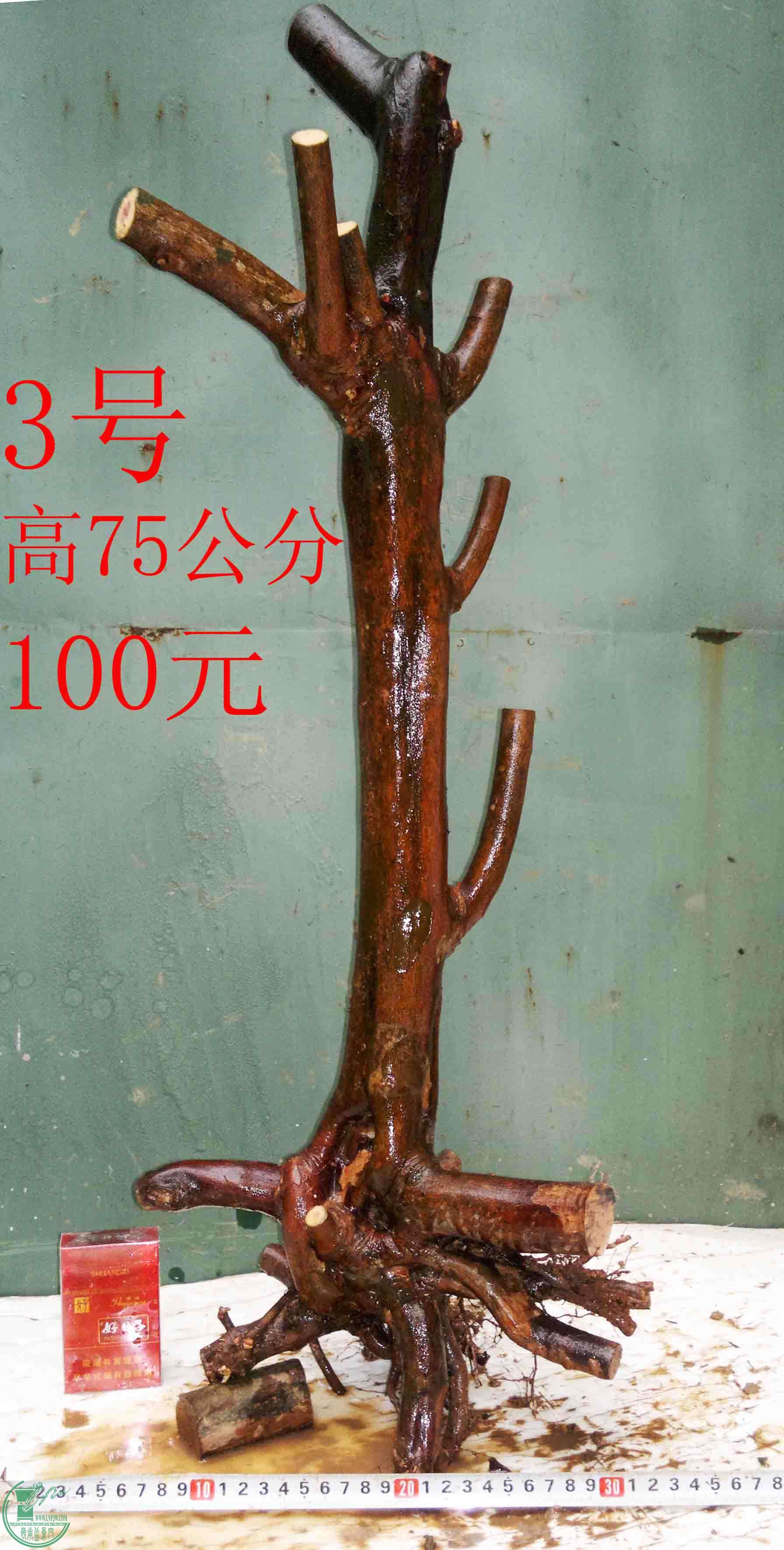 201602029438.jpg