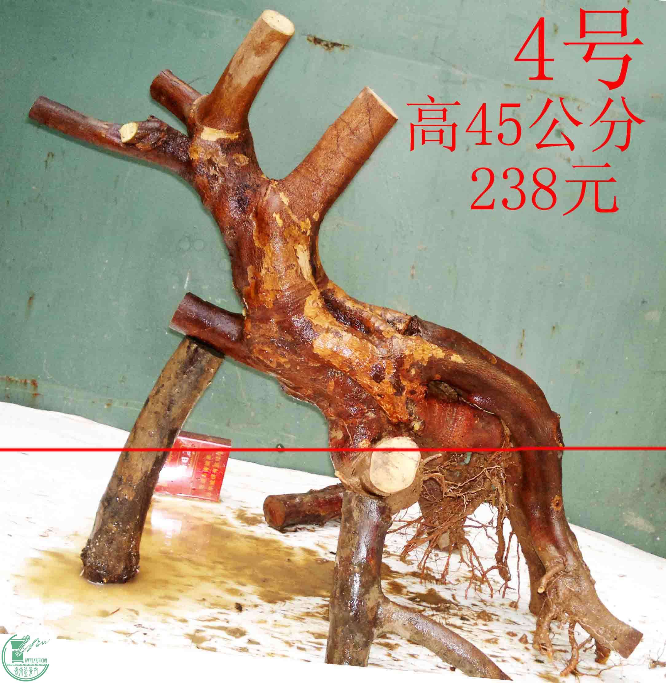 201602029471.jpg