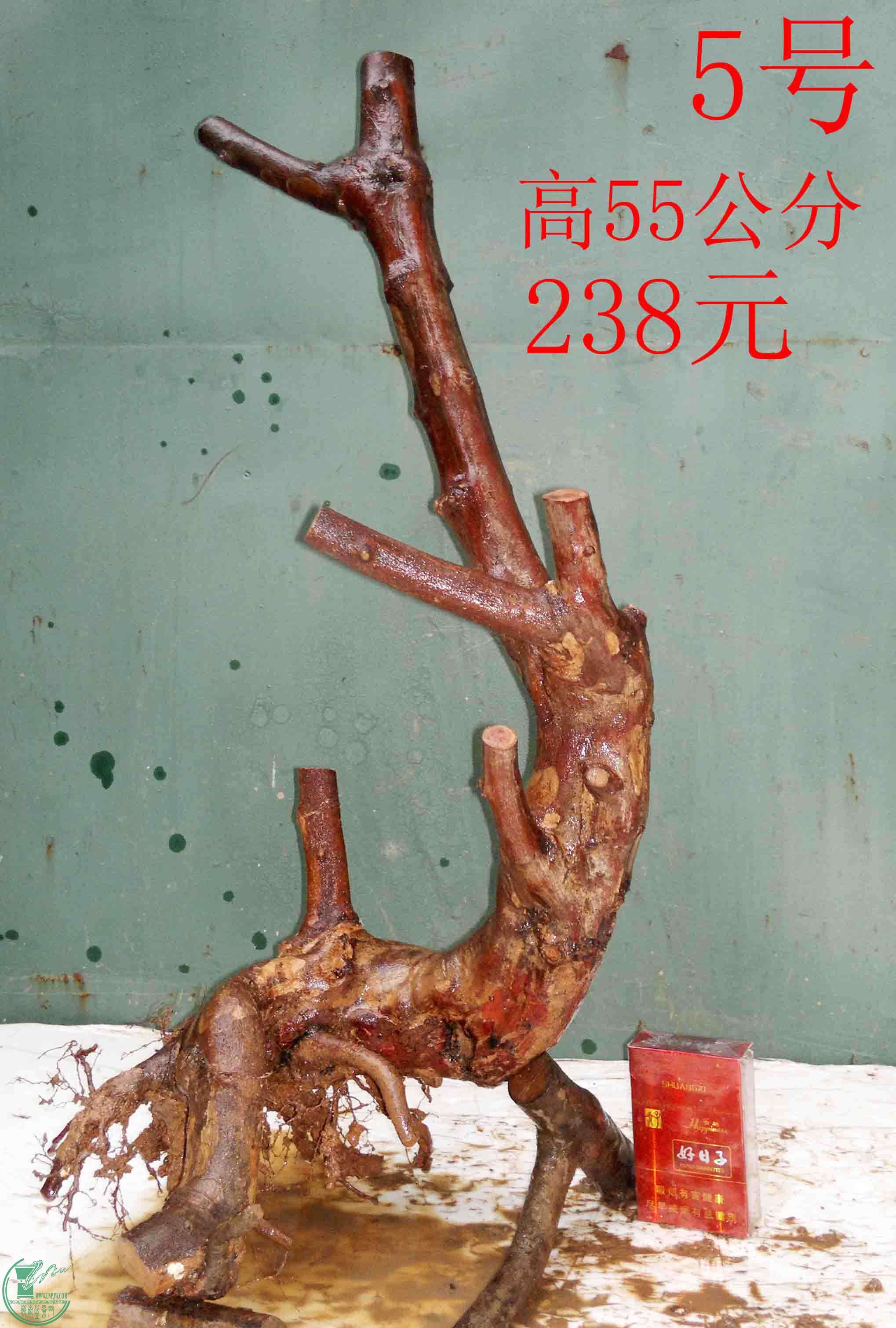 201602029500.jpg