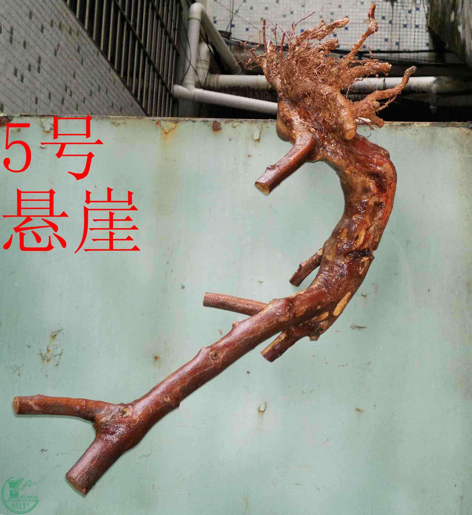 201602029526.jpg