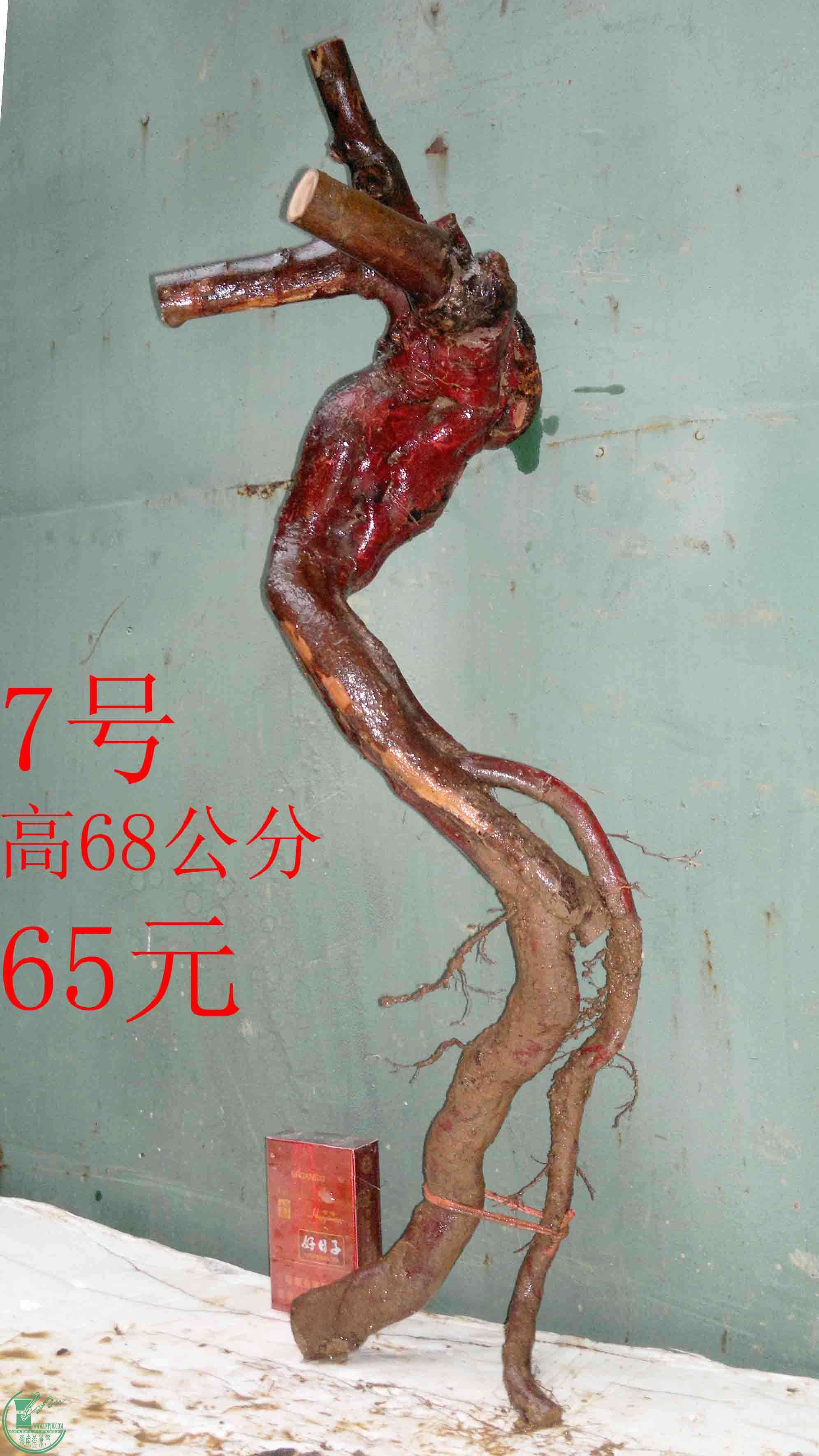 201602029552.jpg