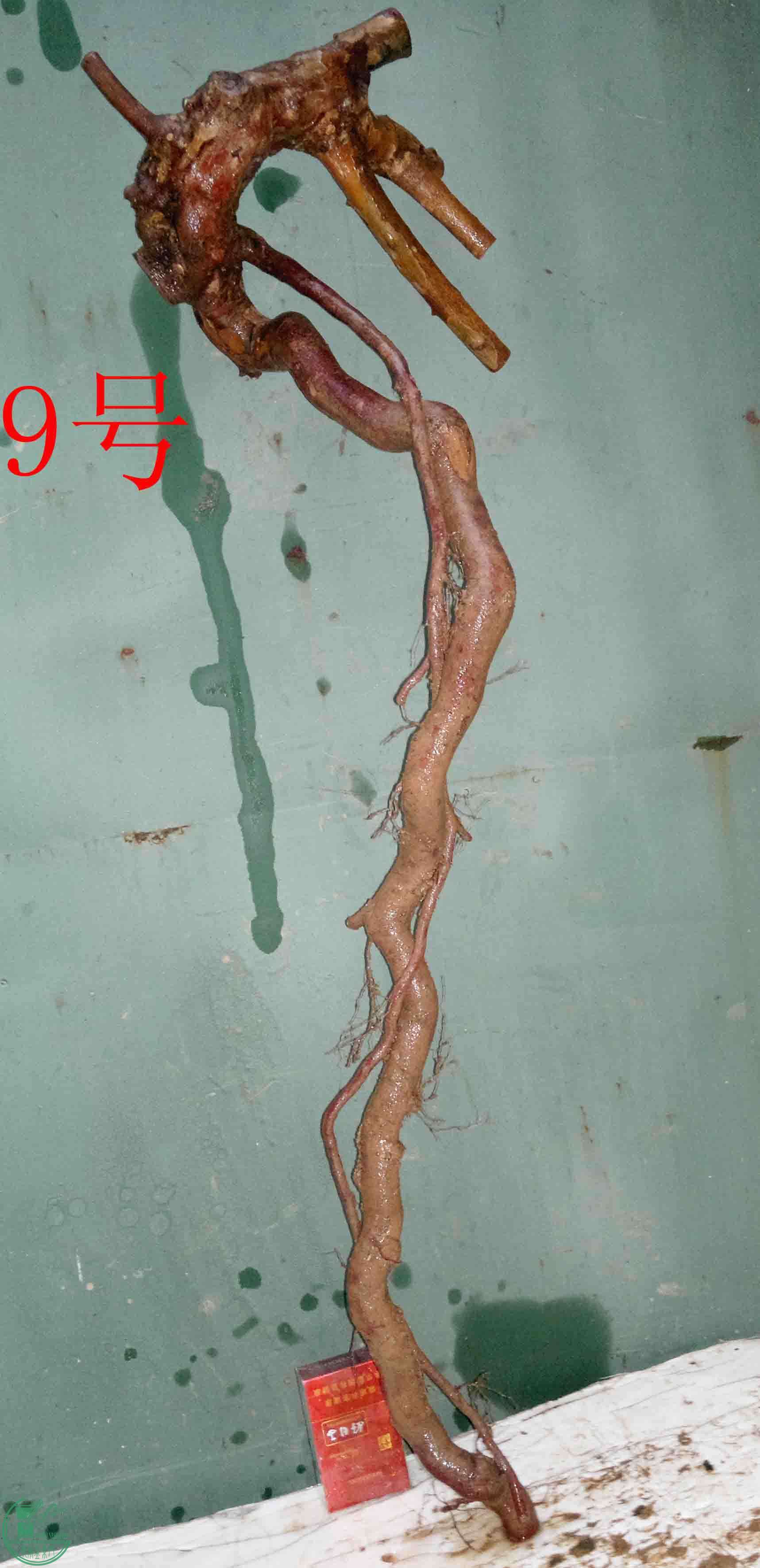 201602029642.jpg