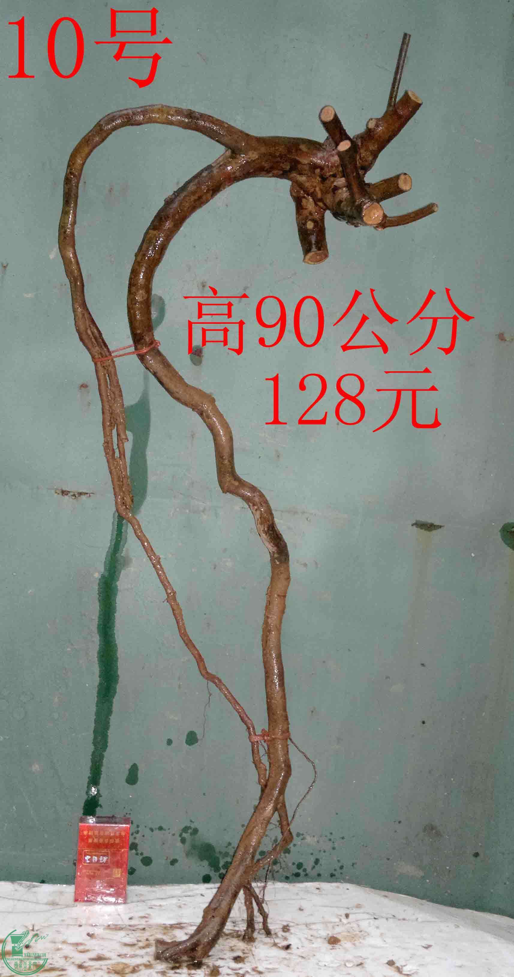 201602029654.jpg
