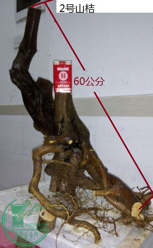 QQͼƬ20160203211742 - .jpg