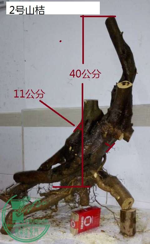 QQͼƬ20160203211735 - .jpg