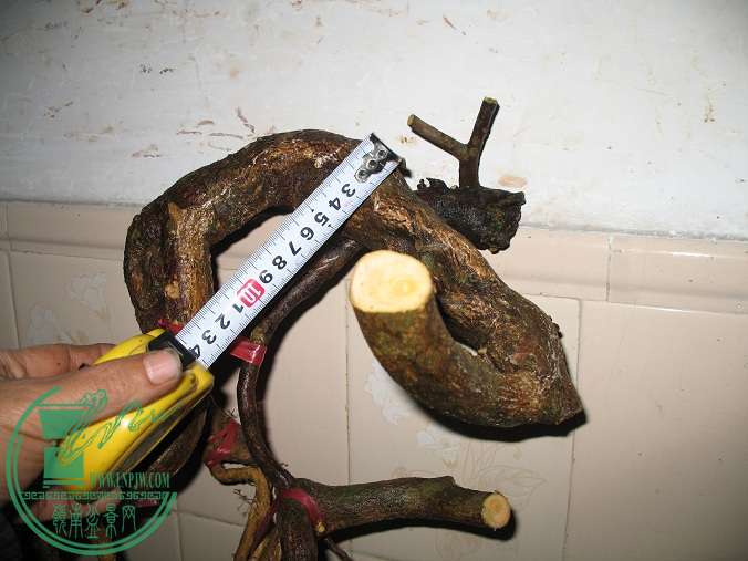 041.JPG