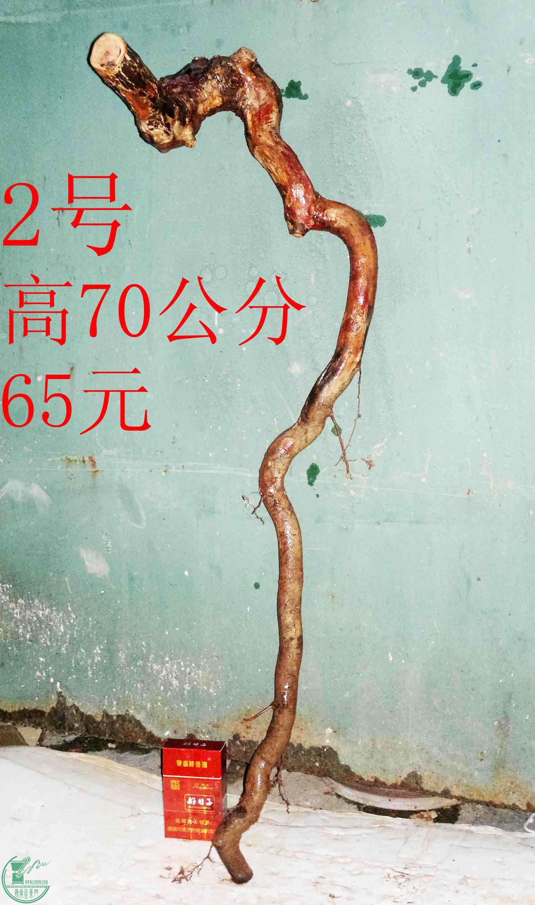 201602049691.jpg