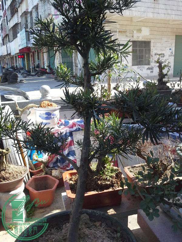 20160207_105833.jpg