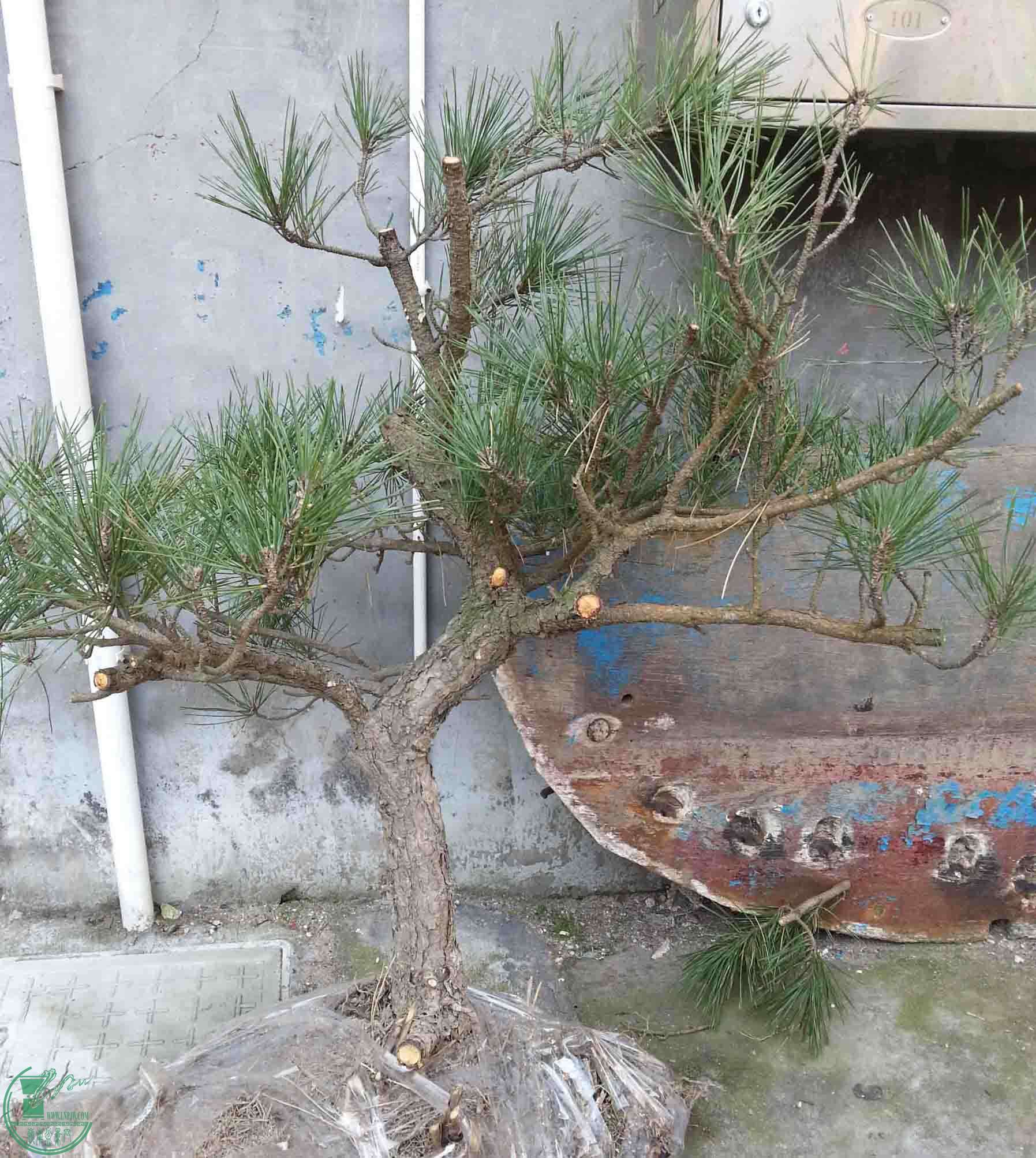 20160207_110502.jpg