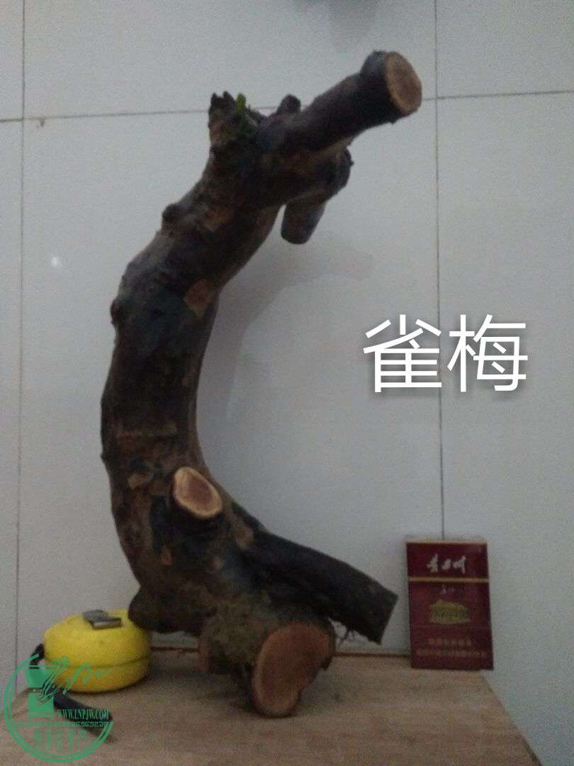 QQͼƬ20160209142141.jpg