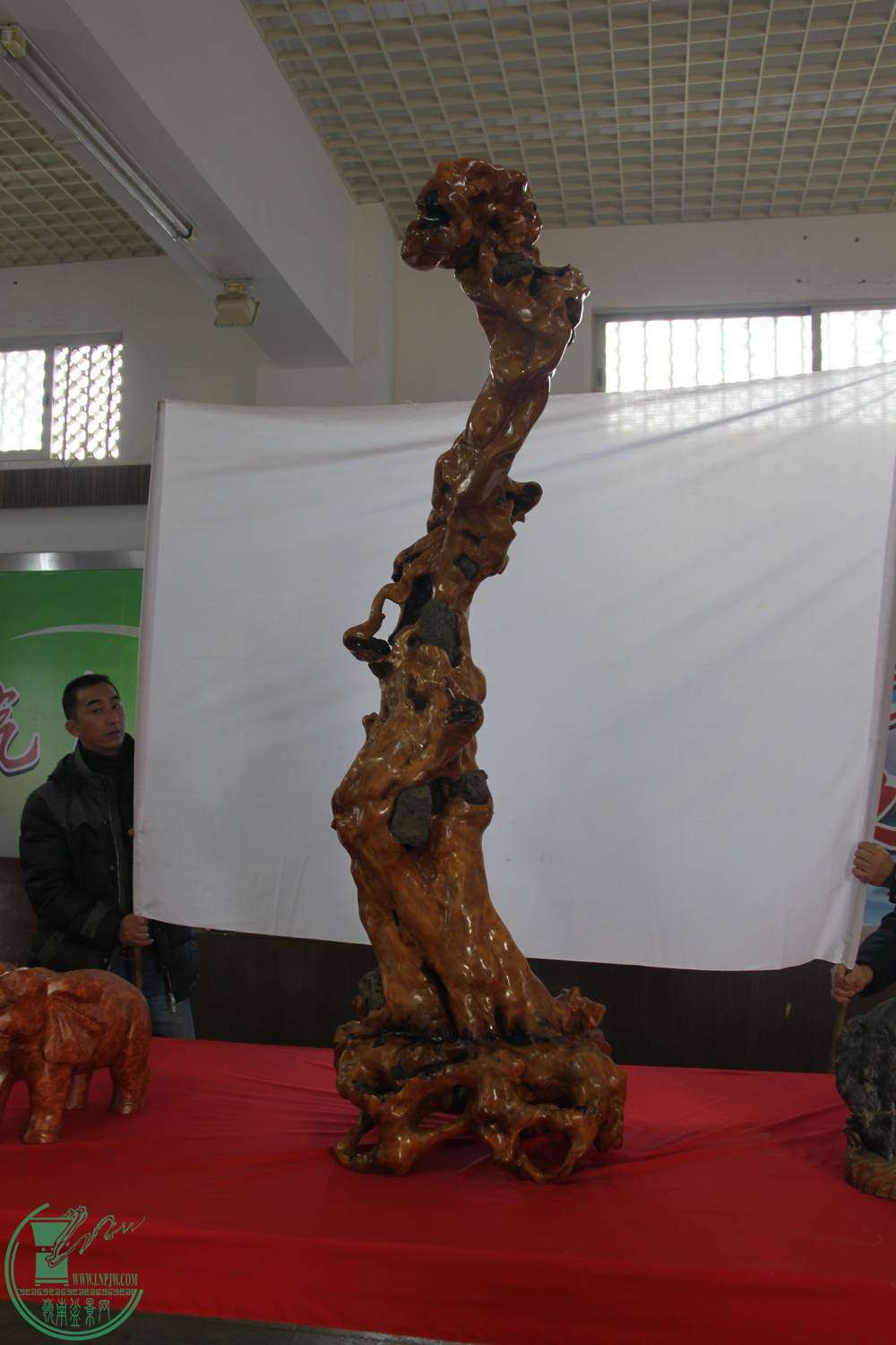 IMG_6566.jpg