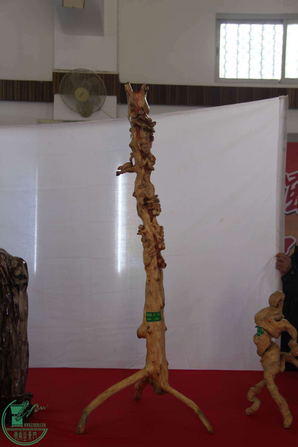 IMG_6573.jpg