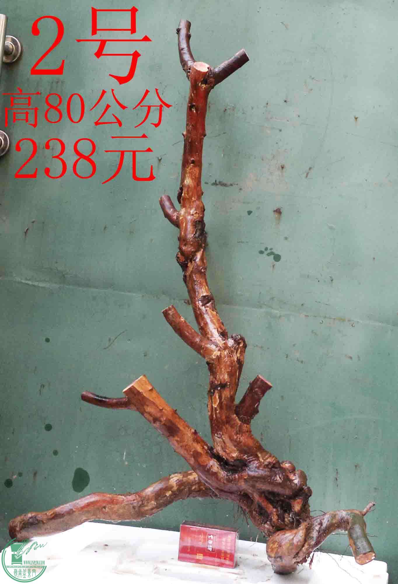 201602129833.jpg