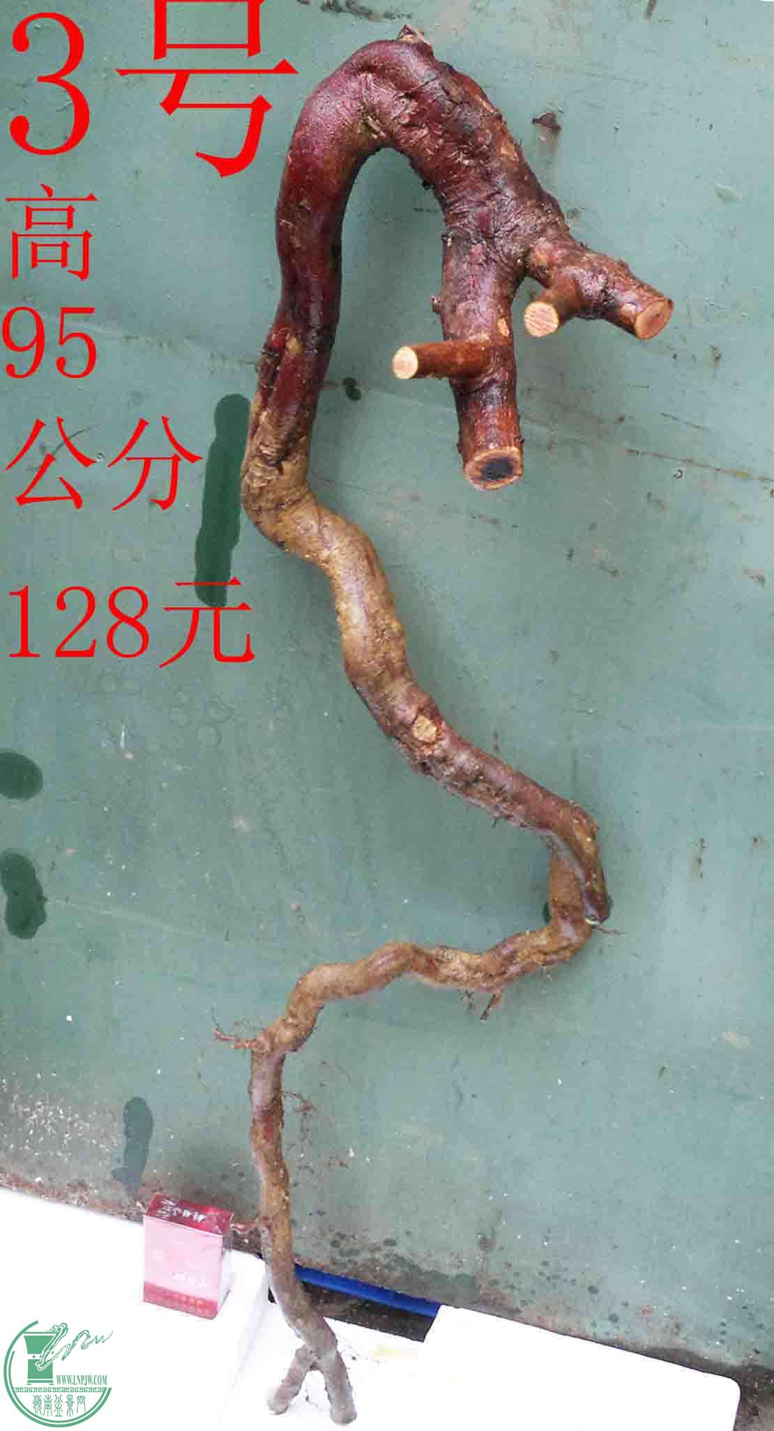 201602129862.jpg