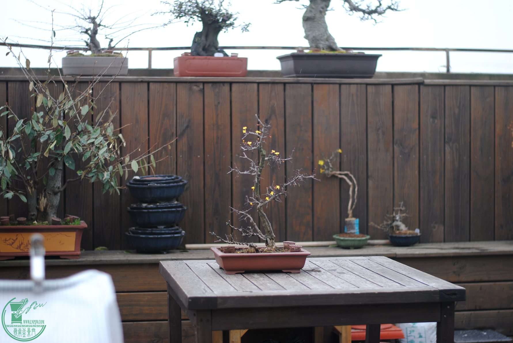 DSC_1960.JPG