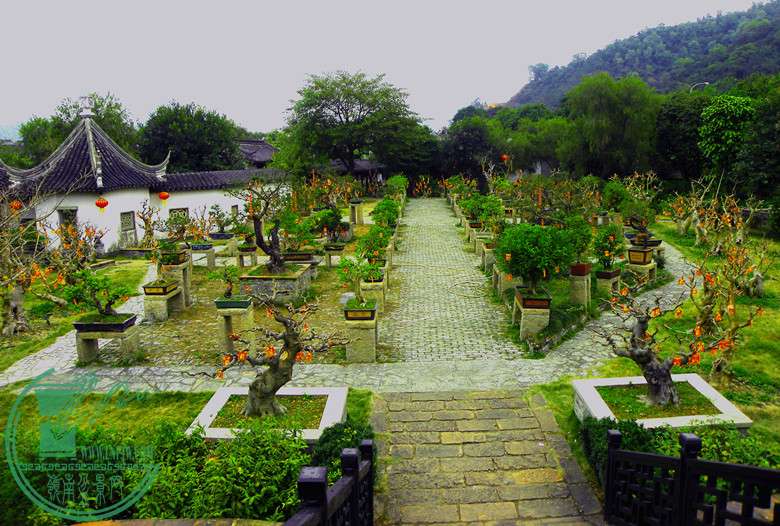 DSCN2942.jpg