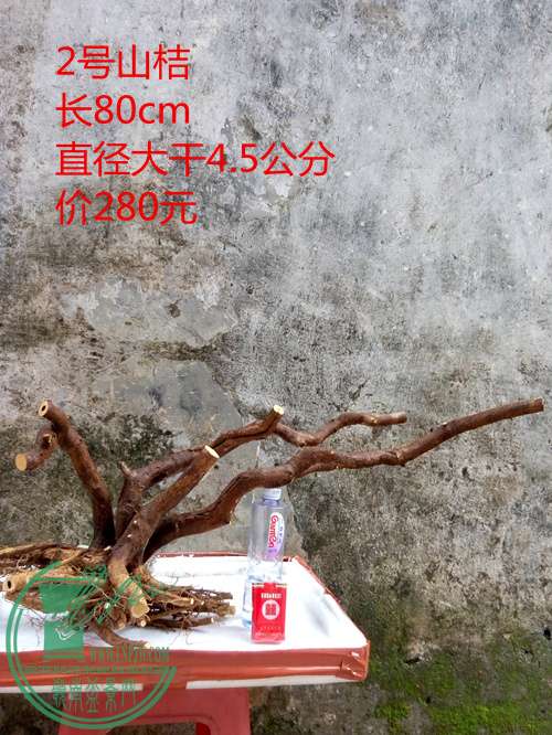 P60214-162935_.jpg