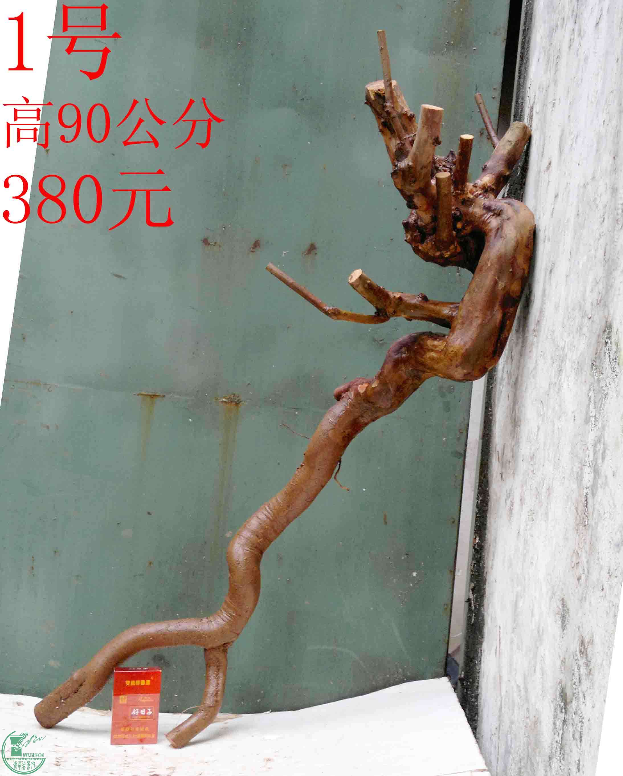 201602149981.jpg