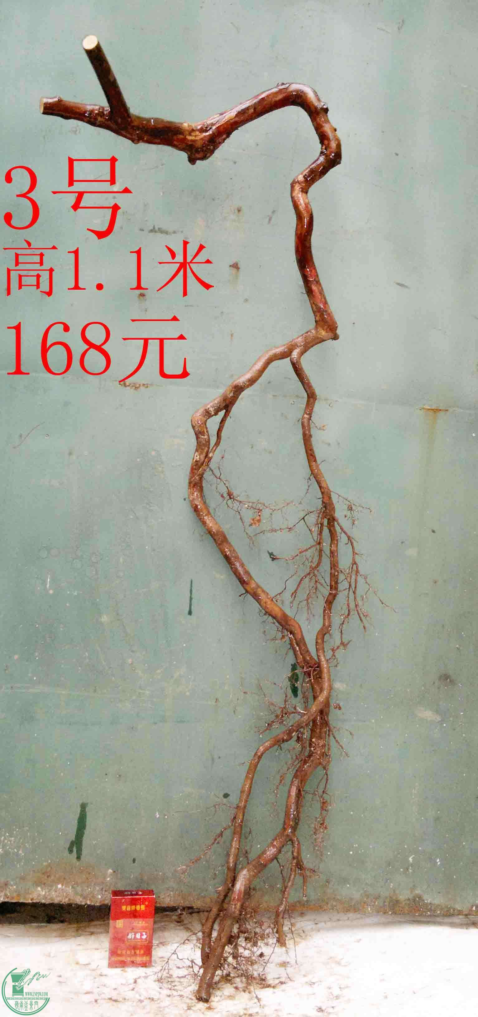 2016021410006.jpg