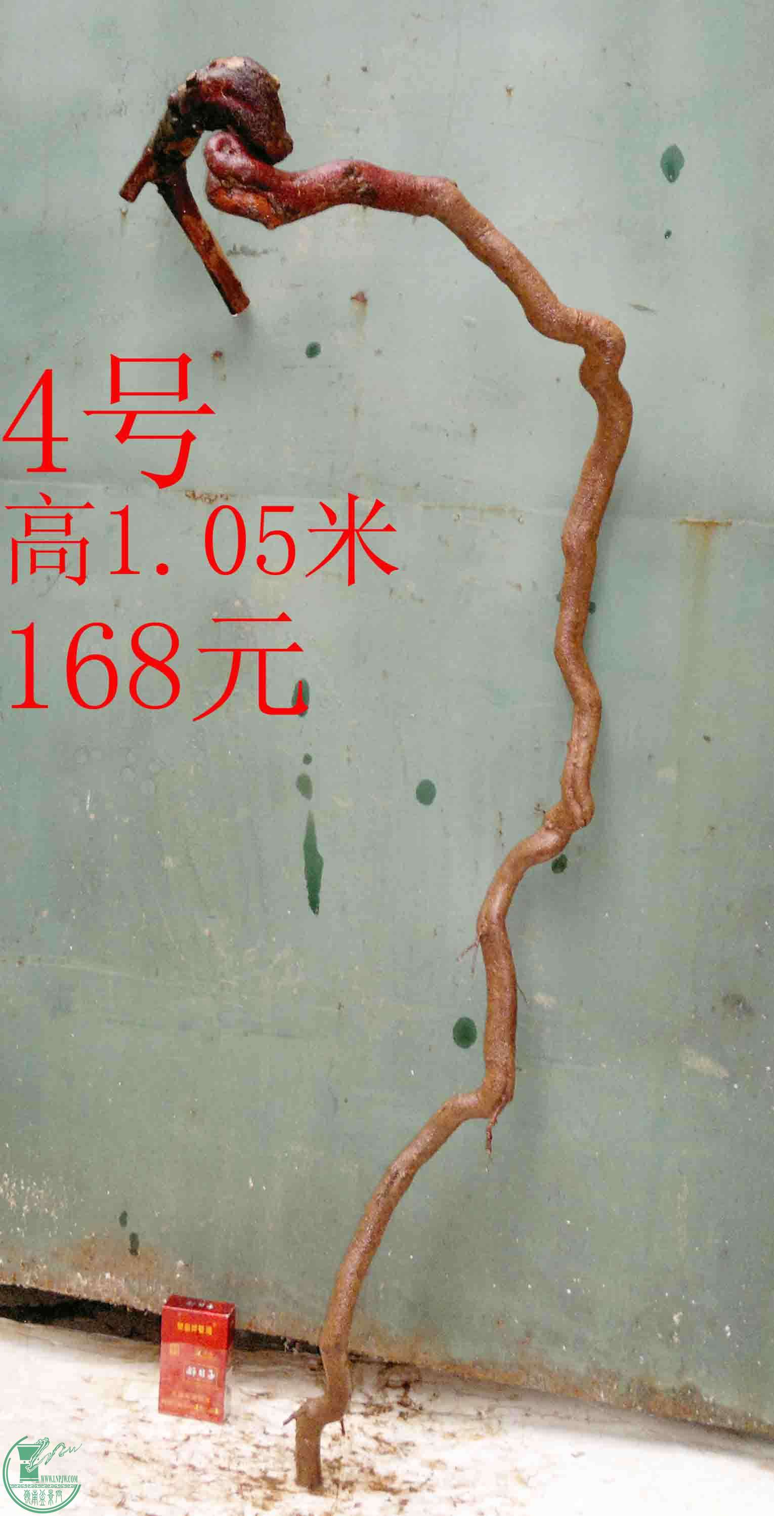 2016021410032.jpg