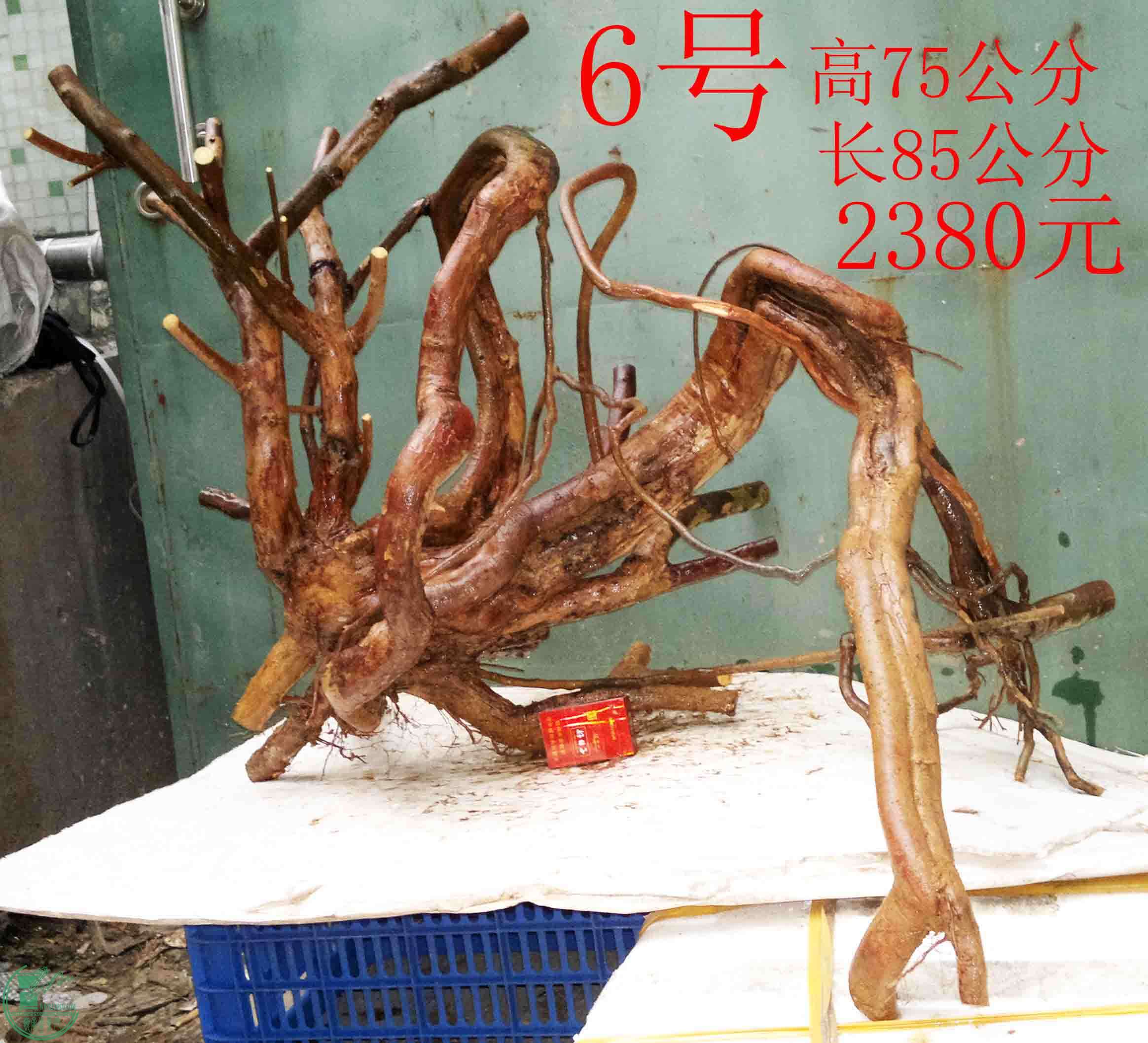 2016021410054.jpg