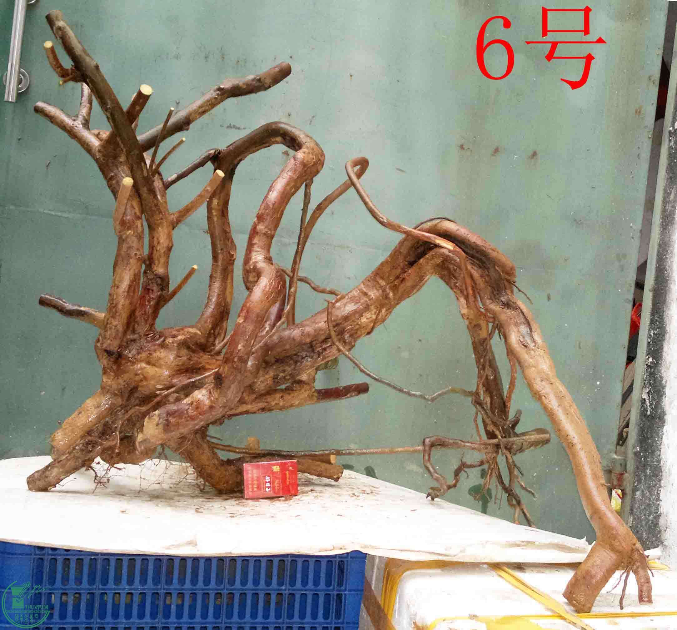 2016021410060.jpg