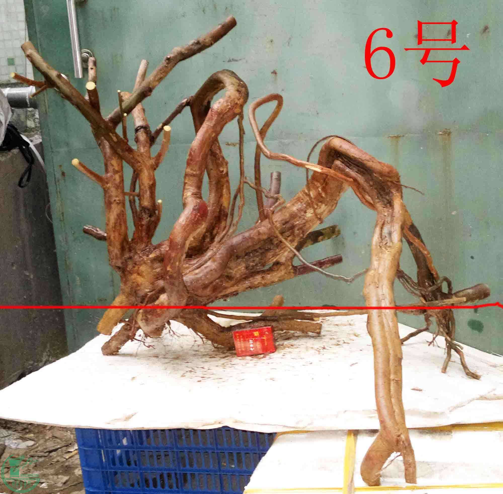 2016021410069.jpg