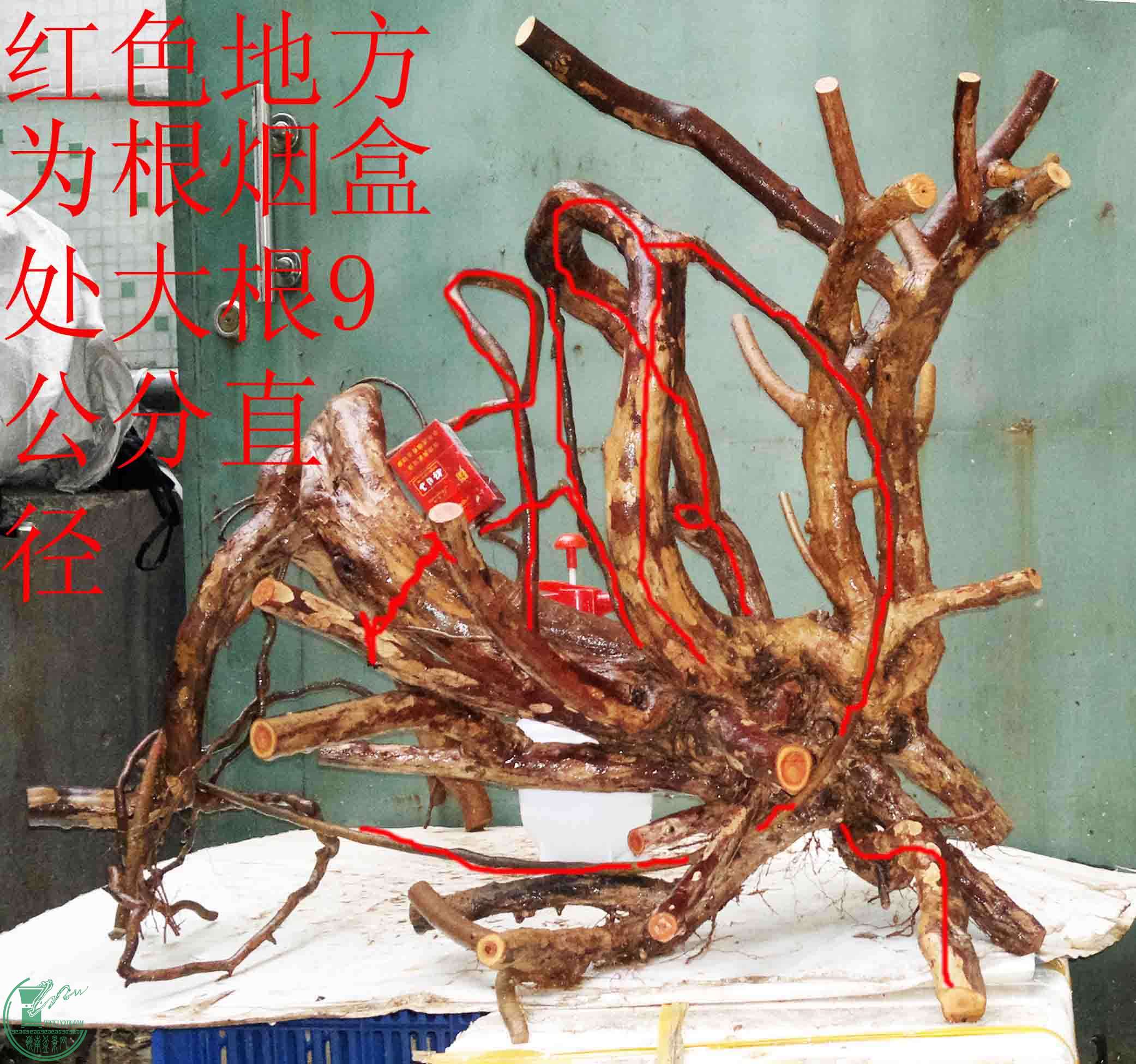 2016021410073.jpg